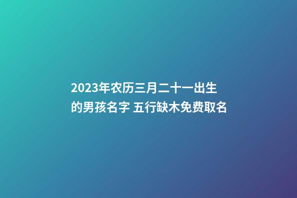 2023年农历三月二十一出生的男孩名字 五行缺木免费取名